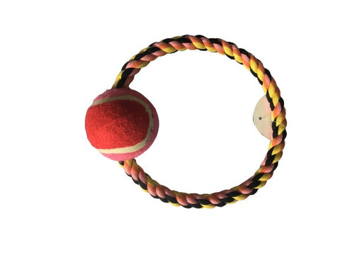 Dog Accessories (Ball + Rope)